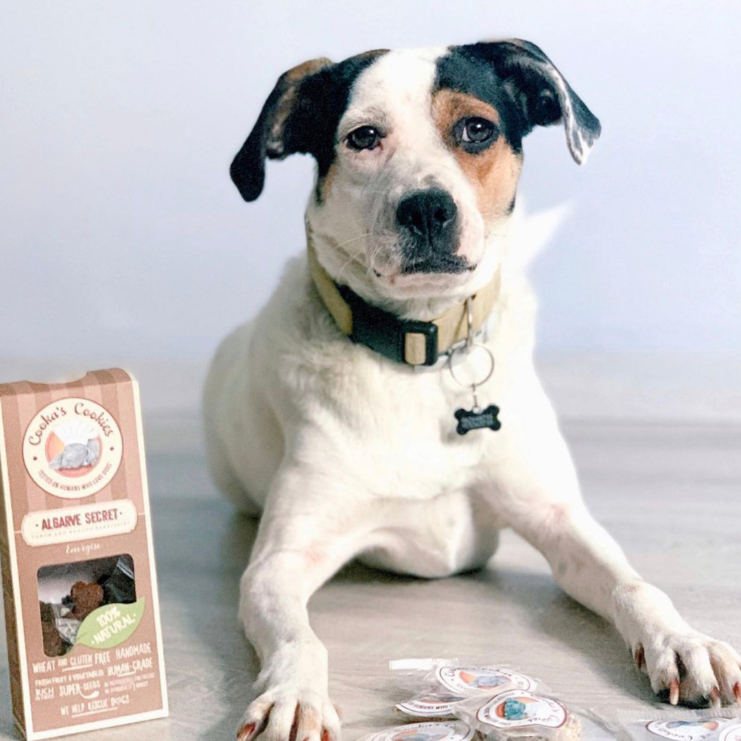 Algarve Secret - Natuurlijke hondensnoepjes met superfoods